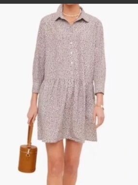 Tuckernuck Cheetah Button-Front Mini Dress